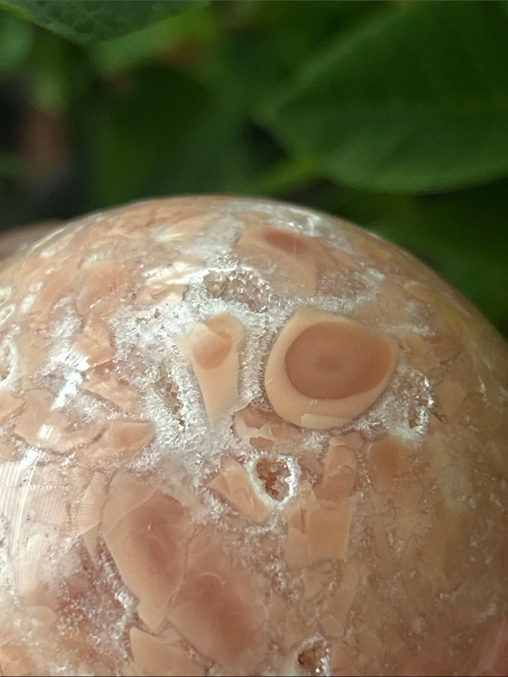 N/A smooth peach